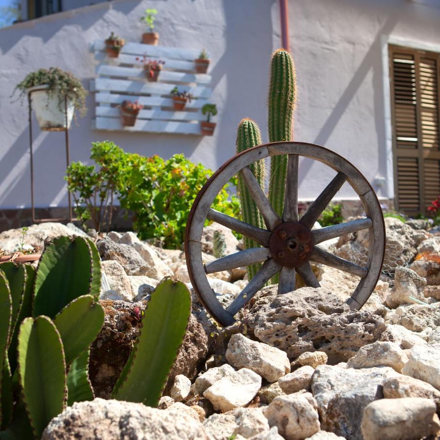 Bed and Breakfast Al Passo di Thalia Ricadi Esterno foto