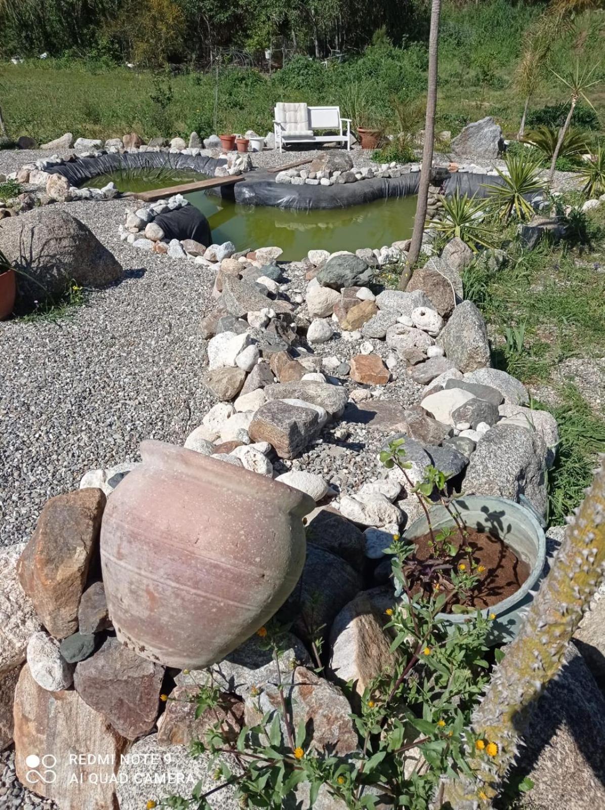 Bed and Breakfast Al Passo di Thalia Ricadi Esterno foto