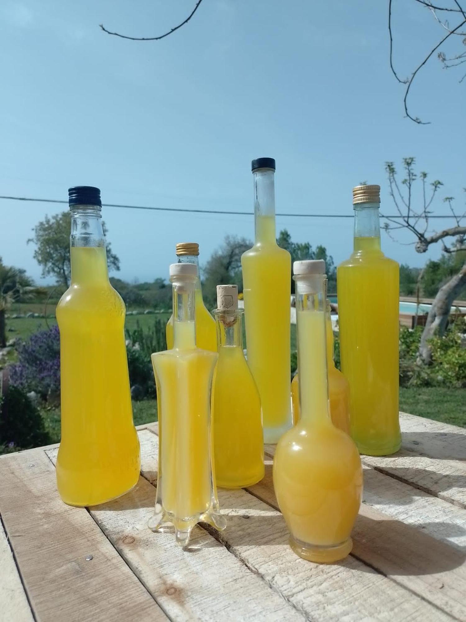 Bed and Breakfast Al Passo di Thalia Ricadi Esterno foto