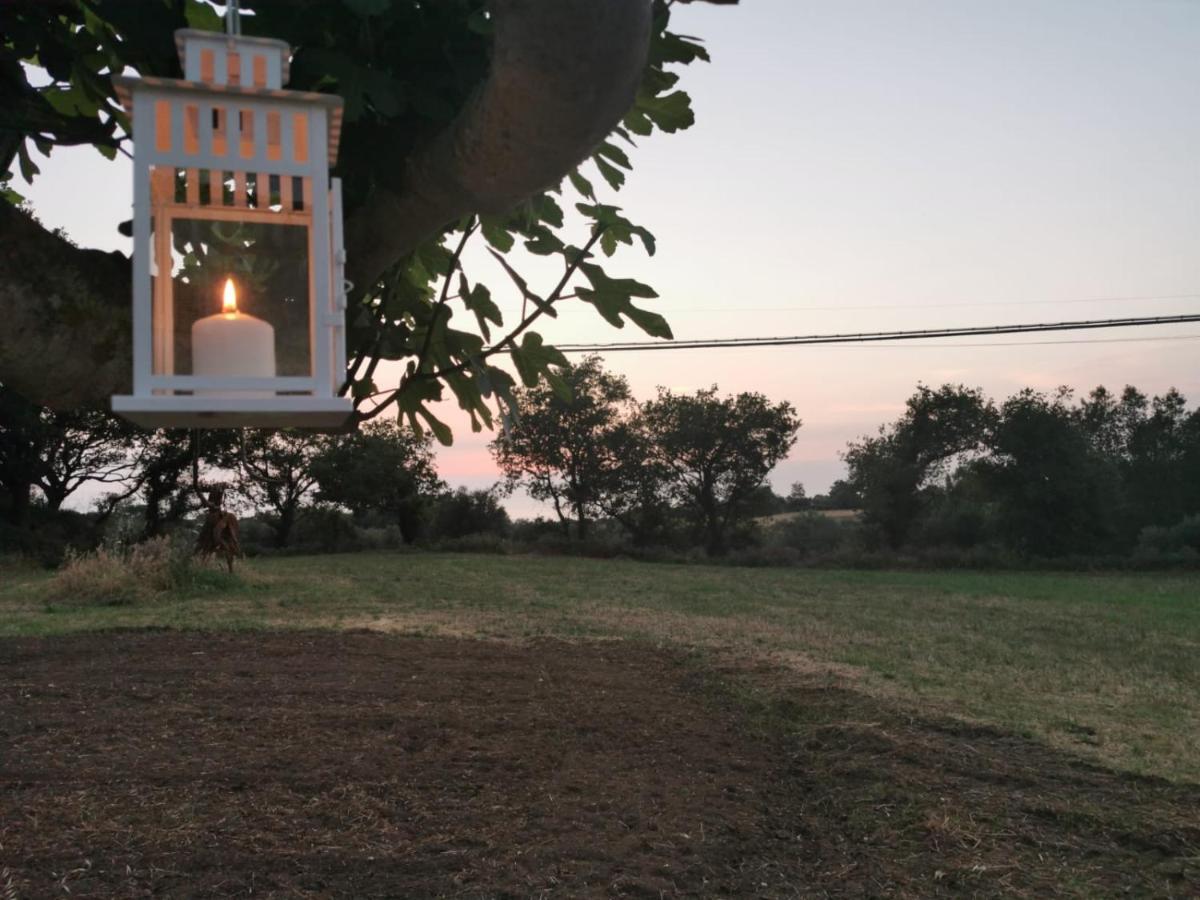 Bed and Breakfast Al Passo di Thalia Ricadi Esterno foto