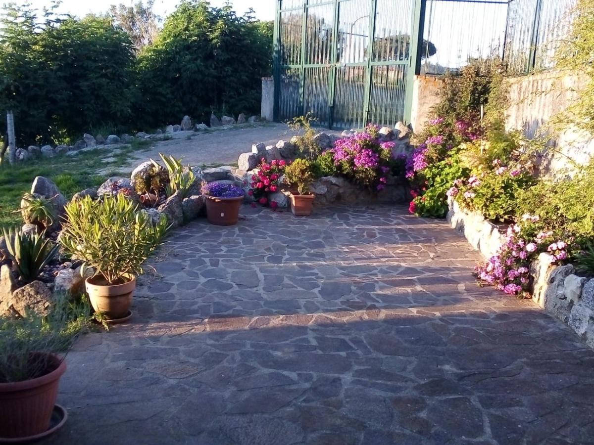 Bed and Breakfast Al Passo di Thalia Ricadi Esterno foto
